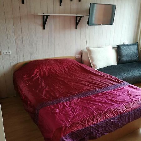 Flat, 1 Room, Study Panevėžys Eksteriør billede