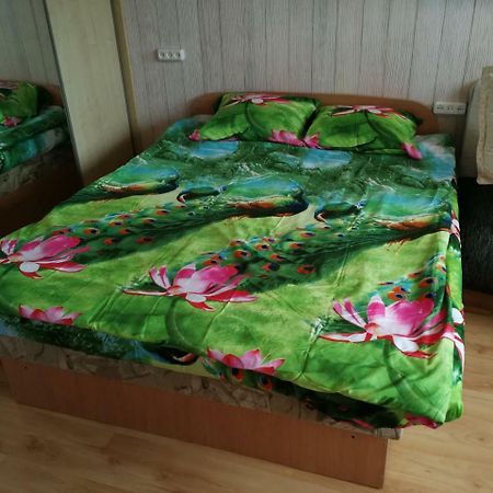 Flat, 1 Room, Study Panevėžys Eksteriør billede