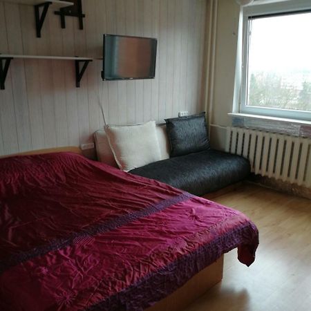 Flat, 1 Room, Study Panevėžys Eksteriør billede