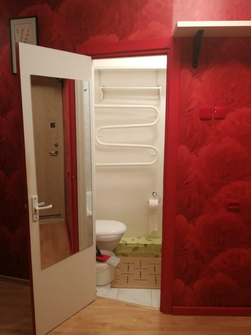 Flat, 1 Room, Study Panevėžys Eksteriør billede