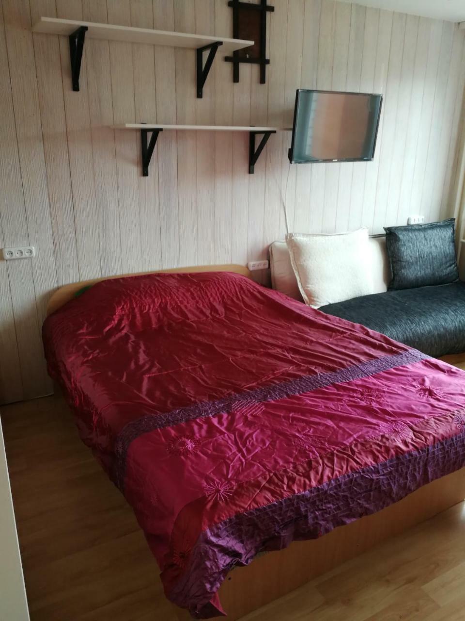 Flat, 1 Room, Study Panevėžys Eksteriør billede
