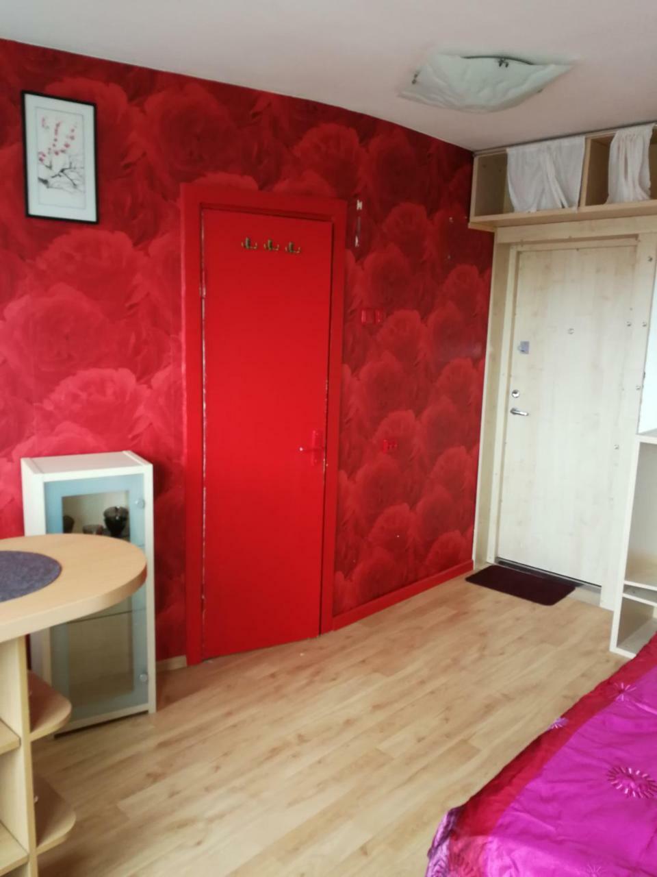 Flat, 1 Room, Study Panevėžys Eksteriør billede